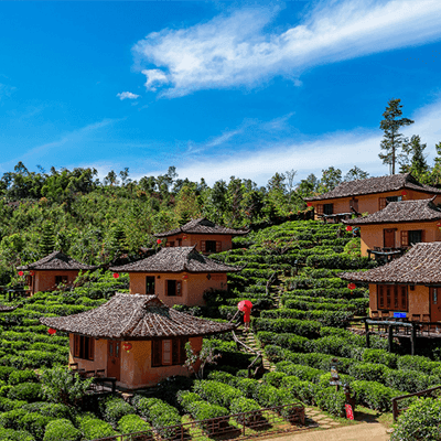 Assam Investment Opportunities