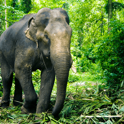 Kerala Investment Opportunities