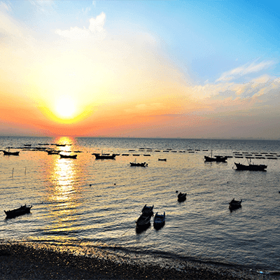 Tripura Investment Opportunities